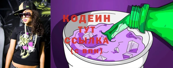 шишки Инсар