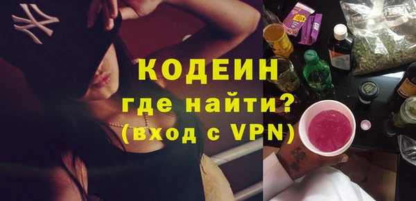 шишки Инсар