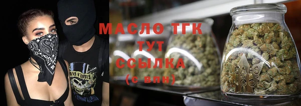 МДПВ Инта