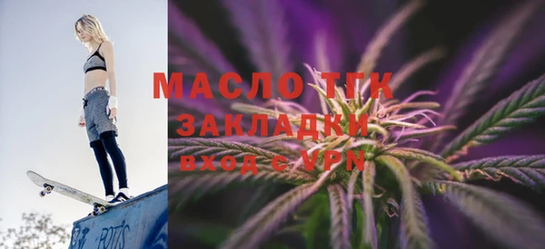 шишки Инсар