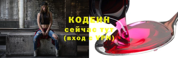 шишки Инсар