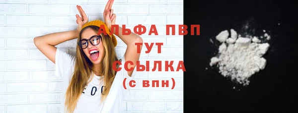 шишки Инсар