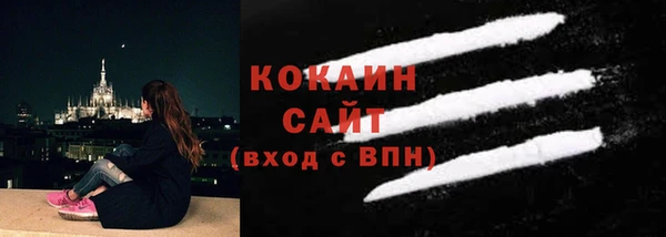 шишки Инсар