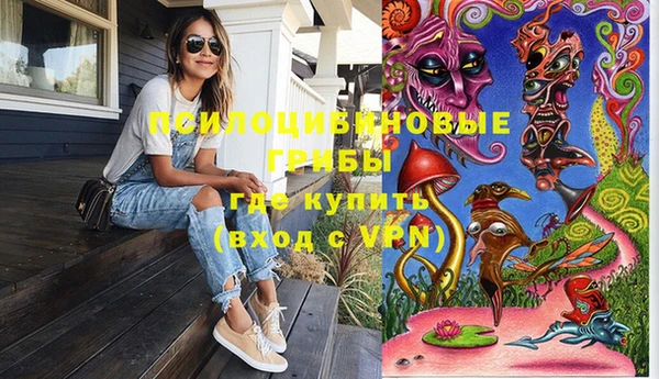 шишки Инсар