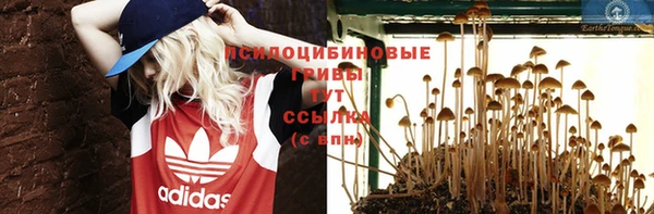 МДПВ Инта