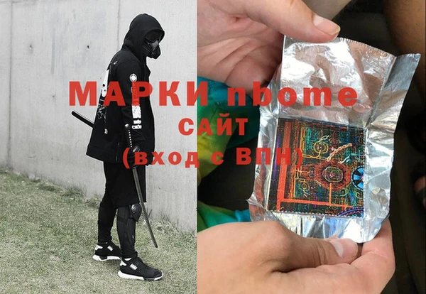 шишки Инсар