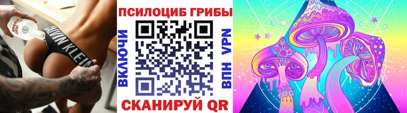 сайты даркнета наркотические препараты Суровикино Псилоцибиновые грибы GOLDEN TEACHER хочу